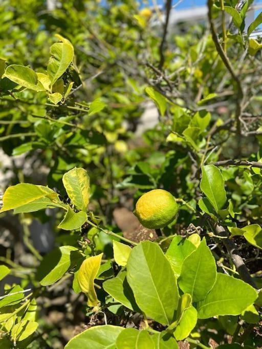 Willa La Casa Degli Ulivi Ostuni Zewnętrze zdjęcie