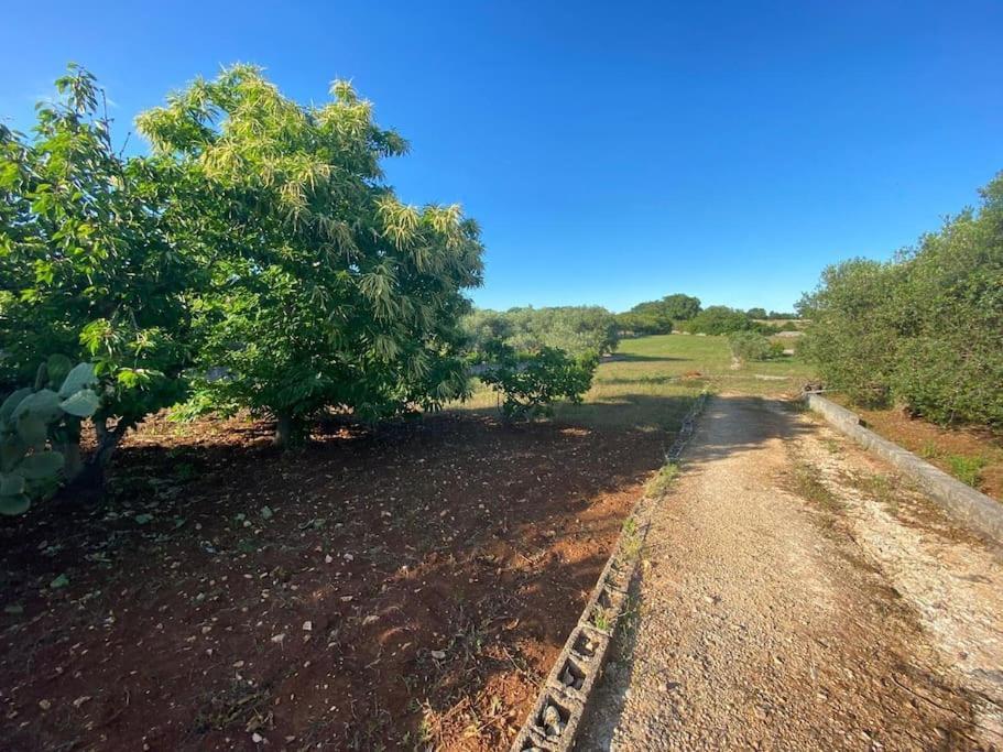 Willa La Casa Degli Ulivi Ostuni Zewnętrze zdjęcie